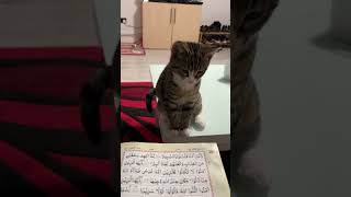 Muna love listening Quran muna shortsvideo shortshorts subscribe shortsfeed [upl. by Richma]