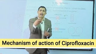 Mechanism of action of Quinolines آلية عمل فلوروكيونيلونز [upl. by Mloc]