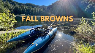 Fall Browns  Fall Brown Trout Fishing  Remote Lake In The Mountains [upl. by Marcy638]