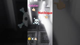 Celular vs notibuque [upl. by Lemar140]