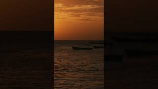 AFRICAN SUNSET ZANZABARYouTube1 [upl. by Ellerrehc]