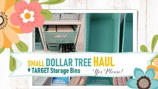 Small Dollar Tree Haul  Target Storage Bins  Kallax Storage [upl. by Nnaeilsel909]