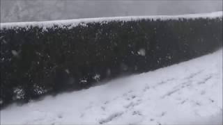 1er épisode de neige  2 à 5 cm   5 février 2018  Saône et Loire [upl. by Eedeed48]