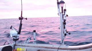 Getting Rigger Rods out of the way to net Salmon [upl. by Nelon531]