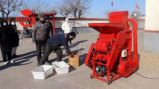 Peanut Shelling Machine Test For Bangladeshi Customer [upl. by Egief]