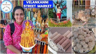 Velankanni Street Food amp Market  Velankanni Church velankanni velankannistreetshopping [upl. by Nyliret]