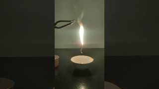 Burning of Magnesium ribbon I Reaction of magnesium with oxygen [upl. by Galvan]