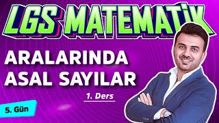 ARALARINDA ASAL SAYILAR  8Sınıf Matematik 8Ders [upl. by Aracahs]