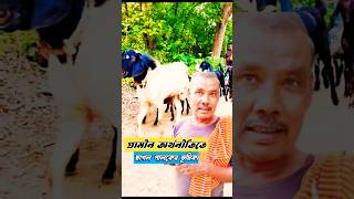 ছাগল পালন পদ্ধতি  Goat Farming [upl. by Ynna]