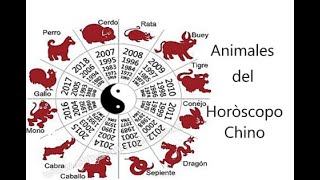 CONOCE TU ANIMAL en el HORÓSCOPO CHINO ㊗ Parte 2 [upl. by Rica973]