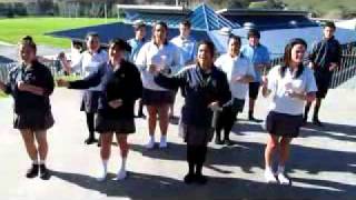 Kaipara College kapa haka group  Norwest News [upl. by Wagstaff172]