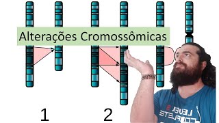 Alterações Cromossômicas  Numéricas e Estruturais [upl. by Ihcas198]