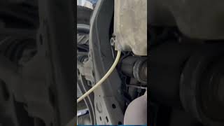 Engine Coolant Mix with Engine Oil 😔😔😔 viral viralvideo viralshorts [upl. by Eiramyllek]