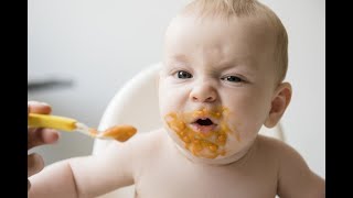 When to start feeding babies with semisolid foods [upl. by Kimberlee]