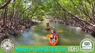 Rising Tide Explorers  Kayak Tour 2017 [upl. by Elleined]