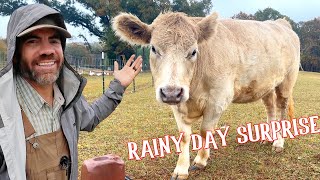 Help Farmer Jason In The Rain With the Farm Chores [upl. by Yaner475]