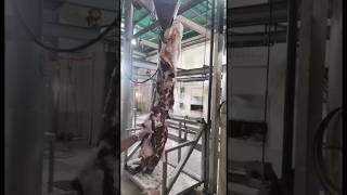 Beef thigh cutting🥩shorts youtubeshorts [upl. by Annirtak]