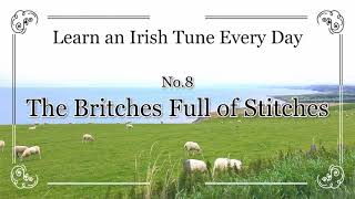 008 The Britches Full of Stitches Polka G Ionian Learn an Irish Tune Every Day [upl. by Lsil]