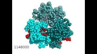 Drug export and allosteric conformational change of multidrug transporter [upl. by Nosam475]