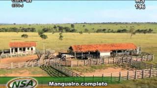 Fazenda em Três Lagoas MS 1573 HA you tubewmv [upl. by Ettennyl]