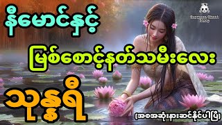 နီမောင်နှင့် မြစ်စောင့်နတ်သမီးလေးသုန္နရီ အစအဆုံး [upl. by Hgielak52]