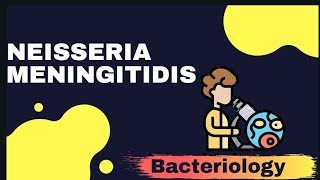 NEISSERIA MENINGITIDIS  Microbiology [upl. by Marceau]