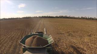 Milo Harvest 2013 filmed with DJI 550 multicopter [upl. by Seidler]