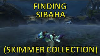 Guild Wars 2  Finding Sibaha Skimmer Dive Mastery Collection [upl. by Anerys139]