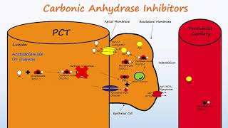 Pharmacology  GASTROINTESTINAL AND ANTIEMETIC DRUGS MADE EASY [upl. by Enelrihs746]