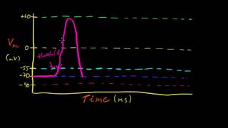 Part 7a  Graded and Action Potentials [upl. by Acimad456]