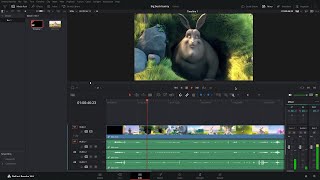 Davinci Resolve installed in Freebsd Jail [upl. by Adroj]