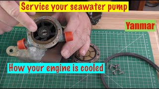 Service your Sea Water  Raw Water Pump How its cooled Part 2 Yanmar Sailboat Engine [upl. by Nera]