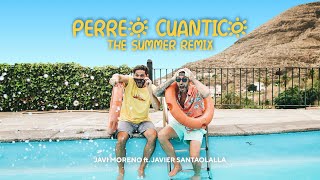 Perreo Cuántico THE SUMMER REMIX  Javi Moreno ft Javier Santaolalla [upl. by Telford350]