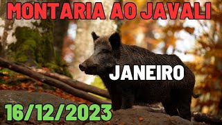 Montaria aos javalis 7 de janeiro [upl. by Tnecnivleahcim841]