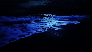 Ocean Waves for Deep Sleep 🌊 24 Hours of Relaxing White Noise amp Stress Relief [upl. by Inaboy]