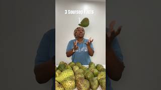 3 Facts about Soursop satisfying soursop tropicalfruit fruit [upl. by Nos]