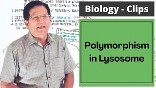 Polymorphism in Lysosome  Biology Clips [upl. by Cindelyn]