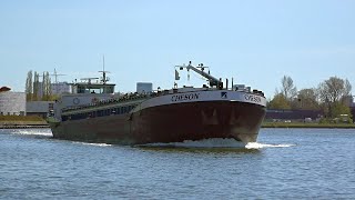 🚢 CHESON tanker voor levensmiddelen uit Biervliet 02323384 gespot 10 04 2020 [upl. by Harleigh]