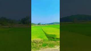 scene of Jharkhand 🏞️ song 💫 [upl. by Mizuki]