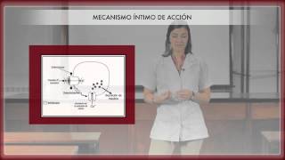 Farmacología de los hipoglucemiantes orales 1ª Parte [upl. by Nuhsar]