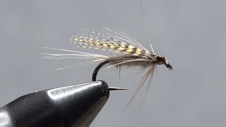 Dark Hendrickson Wet Fly [upl. by Lucien564]