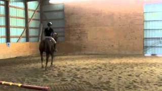 The Basics of Cantering [upl. by Desiree228]