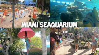 Tour of the Floridas Best Aquarium Miami Florida Seaquarium [upl. by Nixie58]