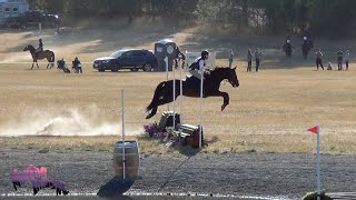 Fiona Kier Spokane Sport Horse Farm HT September 2024 [upl. by Allanson]