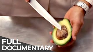 HOW IT WORKS  Bicycle locks Tea lights Avocado harvest Wrapping paper  Episode 23 [upl. by Adnoel998]