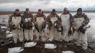 Hunting Pintails Mallards and Wigeon on a Greasy Sheet Water Hole [upl. by Attwood]