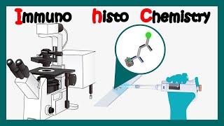 Immunohistochemistry  How to perform immunohistochemistry  application of immunohistochemistry [upl. by Einnov]