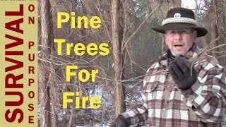 Pine Trees for Fires  Fire Resources [upl. by Gordan]