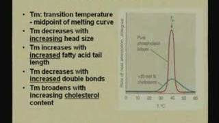 Lecture  14 Lipids and Membranes II [upl. by Anilec]