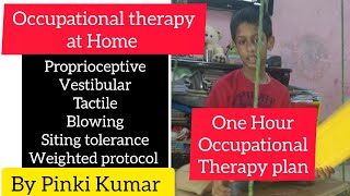 Reducing Hyperactivity in Autistic Children l One Hour OT Plan  Occupational therapy at Home [upl. by Ecinreb]